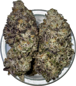 JJ x PM x Samui Sunset #7