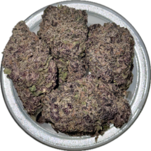 Blackberry Kush