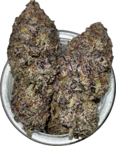 Juicee J x Pure Michigan #9